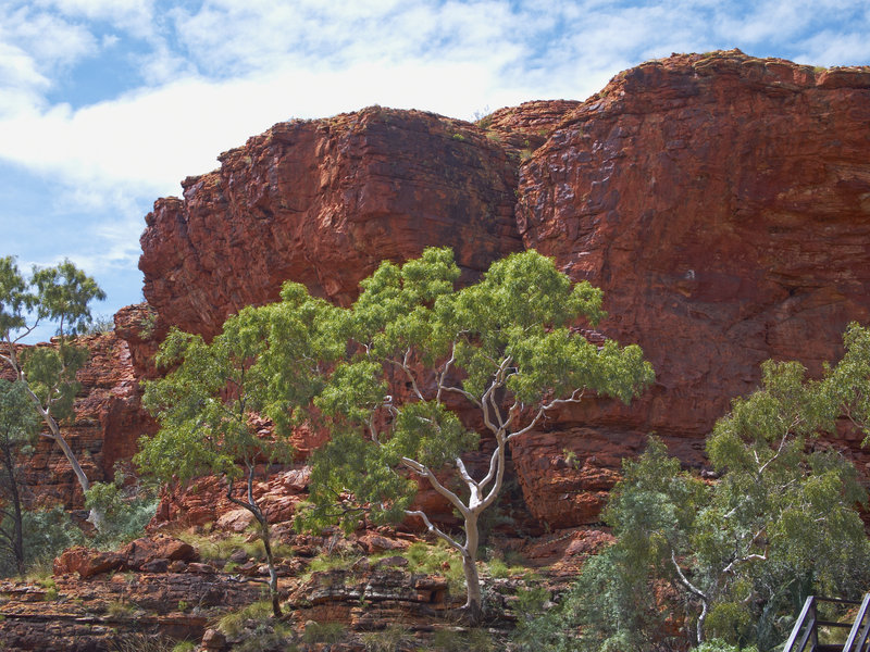 Kings Canyon